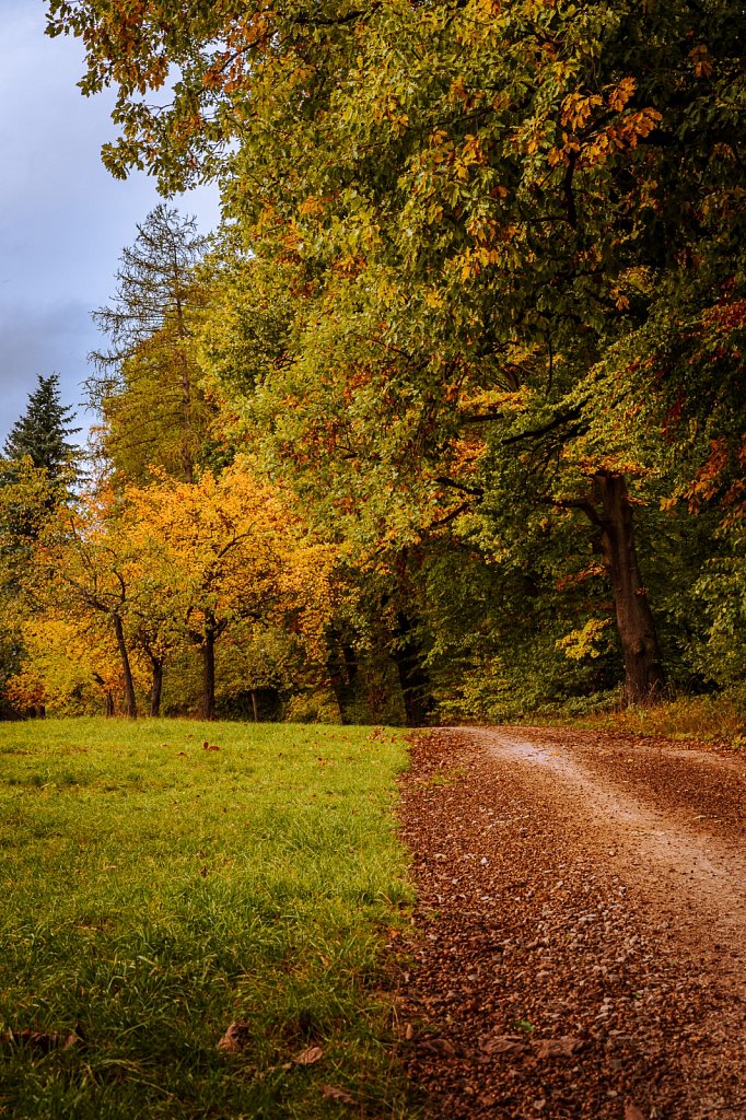 Herbststimmung #2